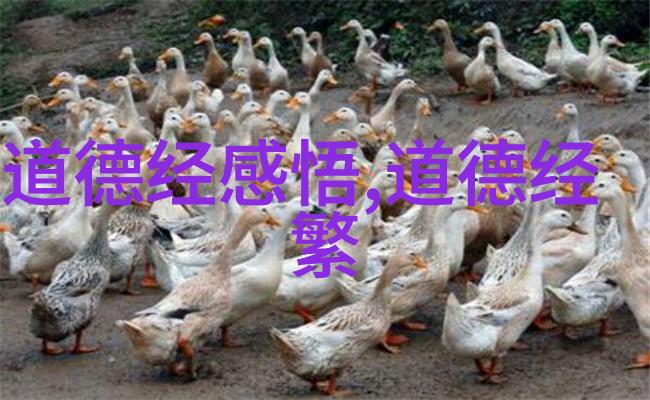 道家代表人物之谜道德经中隐匿的智者身份