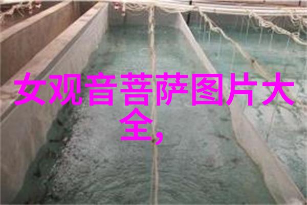 道教经典道教的核心经典