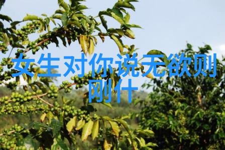 道家婚书缔结永恒的缘分