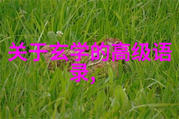 道家秘境寻访盘古开天地的神秘足迹