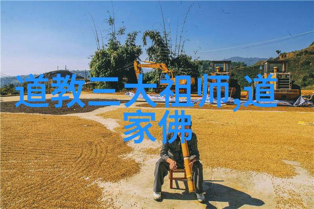 心之所向无不至与心无欲则刚的差别在哪里