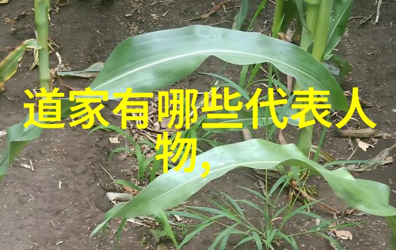 常无为而无不为探索悠然自得与事必躬亲的哲学之谜