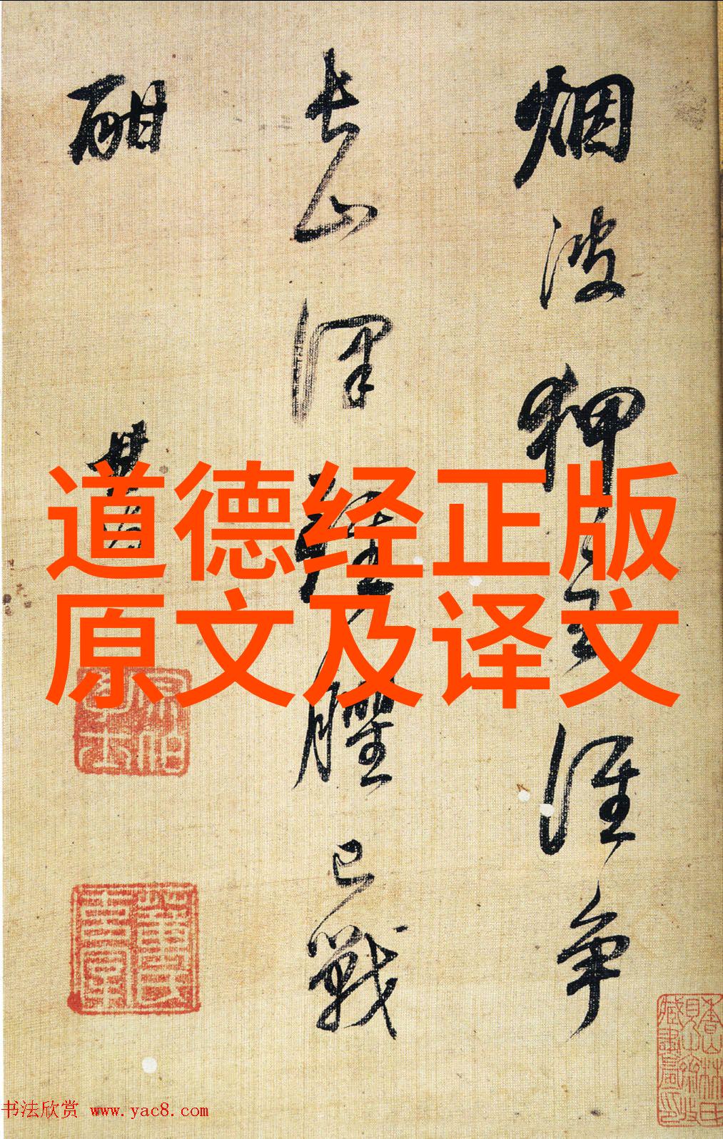 天穹之下我在星光下寻找属于自己的方向