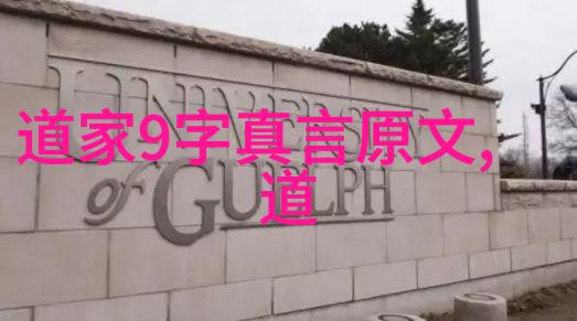 道士的终身之路探索其职业生涯的持续与变迁