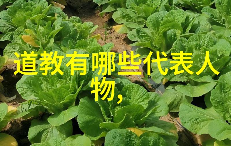 道德经第一章翻译-道德经之道探索老子智慧的起源