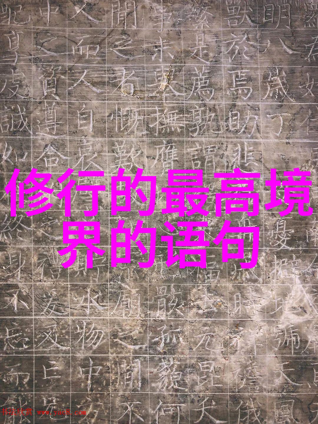 追寻生命本质道法自然的人生哲学实践