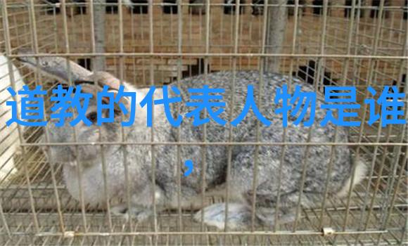 我国少数民族文化风俗的多样性与传承
