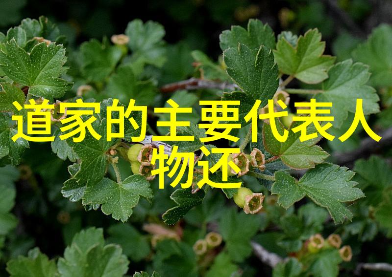 从万物并生相生相克看人类共存的大智慧