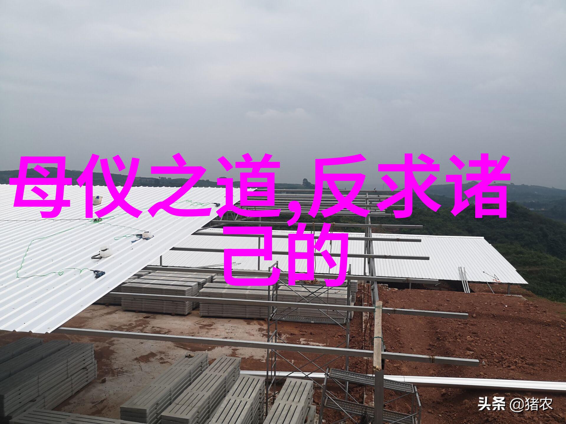 喜欢道法自然的人生活就像一场悠闲的散步