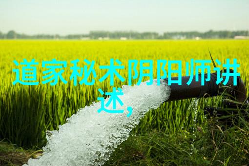 道德经的主要内容探究自然无为与和谐