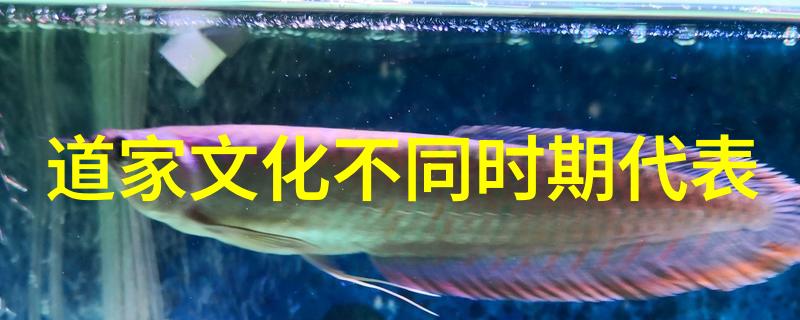 道家禅语经典语录-悟道之旅解读古代禅宗智慧