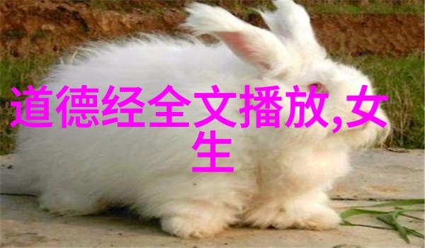 道德经原版全篇-探索老子智慧解读道德经的深层含义