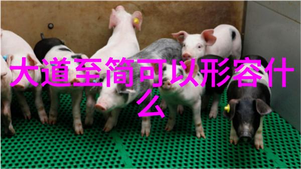 道士之路一生修行终身奉献
