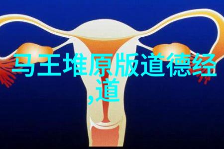 道德经的古韵与现代光探索道德经拼音完整版的文化价值