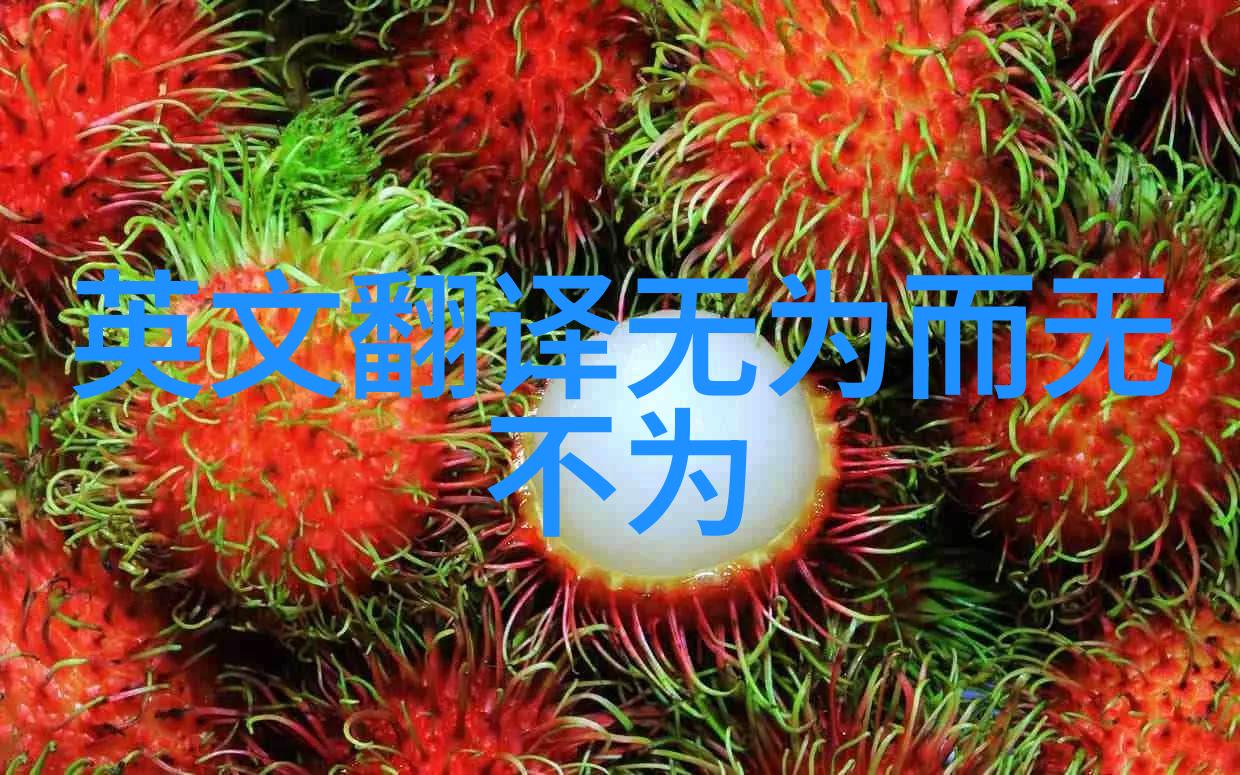 道家内功道家修炼的内在力量
