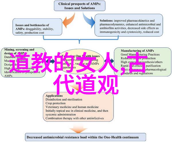 心不死道不生欲不灭道不存哲学探索与生命智慧