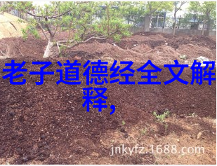 探索天人合一深度解读道教哲学与实践的全景