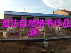 庄子无为有为哲学深度探究庄子的自然无拘束与主动追求