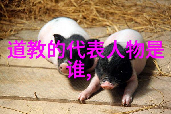 如何运用修仙霸气语录提升日常生活质量