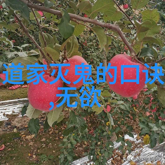 微信名道法自然让你的朋友圈变成一片大自然的清新呼吸地带