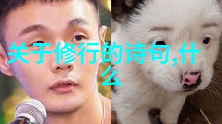 隐世长者道家名人的秘密之谜