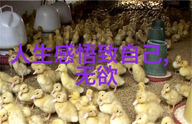 道家真人名单-探秘古代揭秘道家真人的神秘面纱
