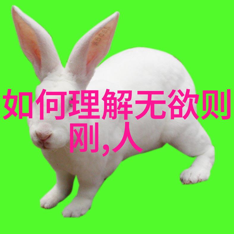 道教历史人物道教的重要人物