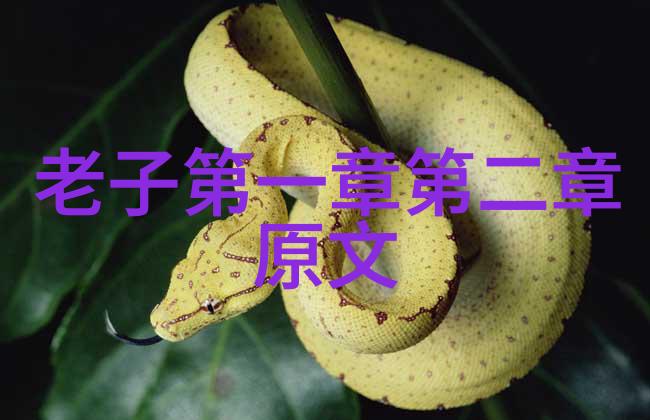 国内外医学界是如何影响国家政策决策导致气功禁令的实施
