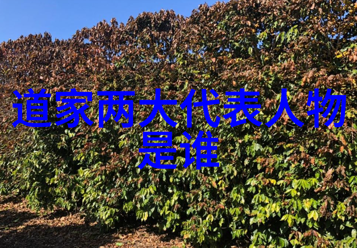 如何在古诗词网上发现隐藏的文化宝藏呢