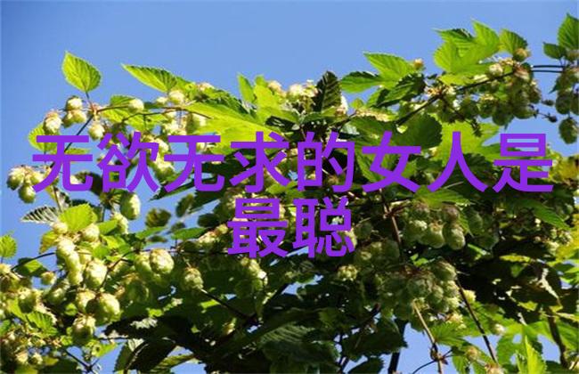 灵动的道号探索好听的道士名字背后的文化魅力
