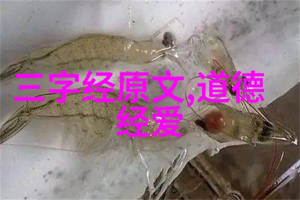 漂亮女医生的特殊服务中文版我是如何遇到那个会在深夜给我开药的美丽博士的