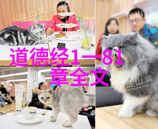 冷门又惊艳探索诗词世界中的未知明珠