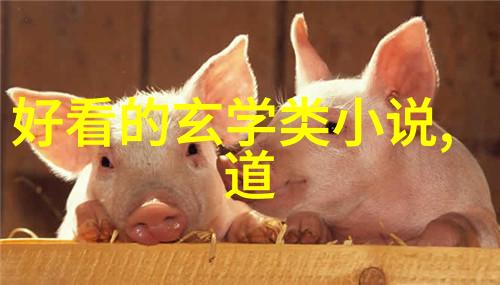 艺术的眼睛品味之美