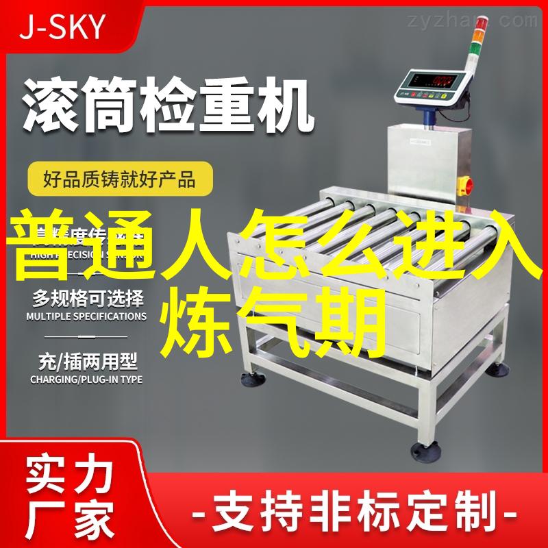 探索道教修行之路身心净化的艺术与哲学