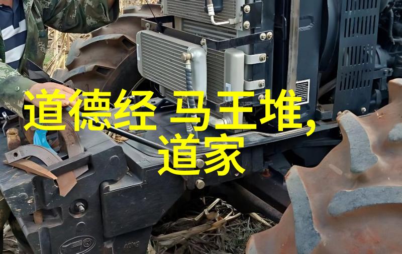 王建新宗教文化融合研究三题 以人类学的视角