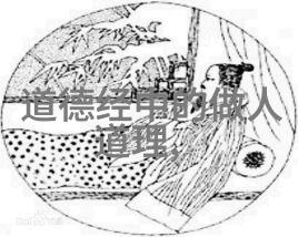 现代诗歌作品的魅力与深度探究
