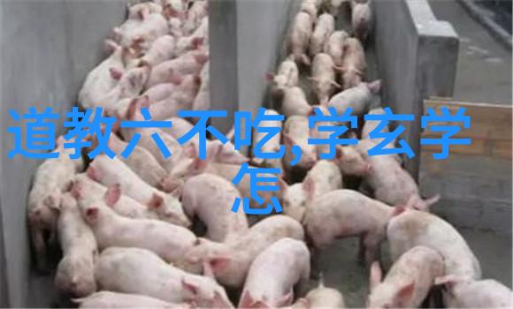 天命篇章探索千古奇文的哲理深度