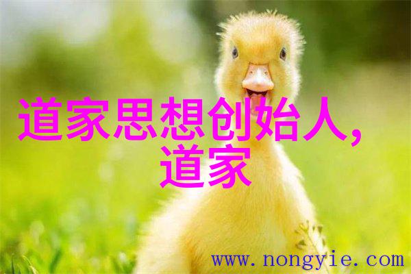 道家智者的天地观与生活哲学
