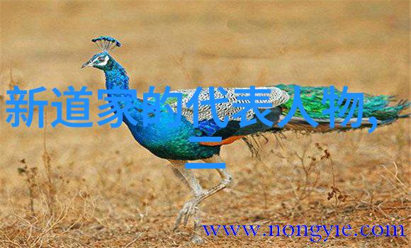 太平经合校之太平经合校卷三十八丙部之四