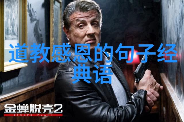 天人合一宇宙之谜与人类灵魂的深邃探索