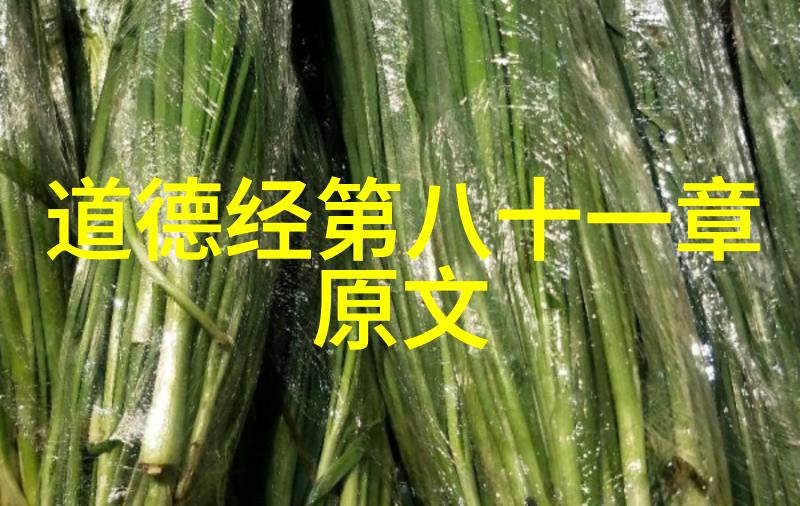 寺院的守护者修道名字背后的故事与意义