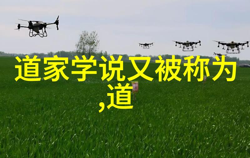 道家学说创始人老子我是如何让无为成为宇宙法则的