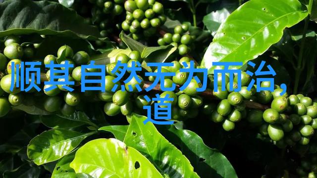 仙剑奇侠传李晓英仙剑奇侠传中的温柔女主角