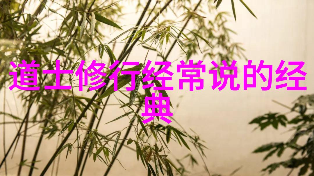 道家修炼的至高境界实现与自然和谐共生