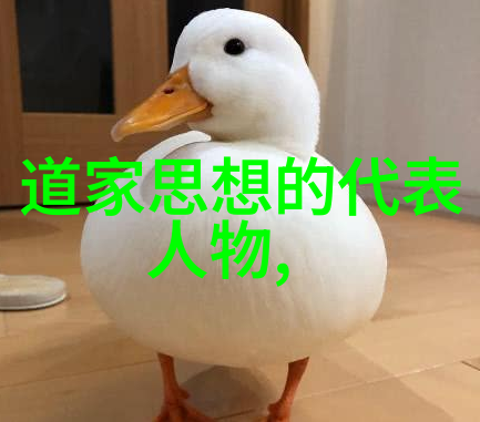 无不为境界之谜