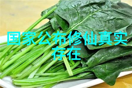 道教修行的句子-内丹妙境道教修行的智慧与实践