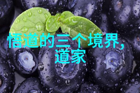 列族谱与寻根探索道家的文化起源