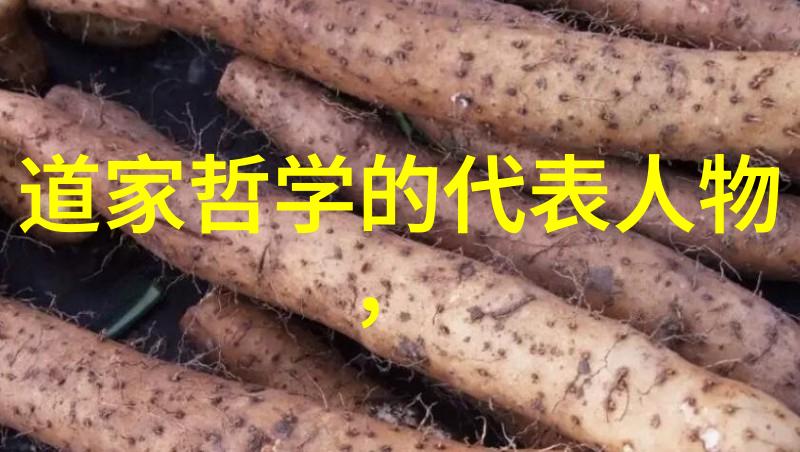 道家法术自学指南探索内丹修炼与真武篇章的奥秘