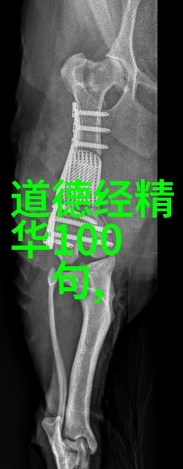 开悟在己我是自己的佛