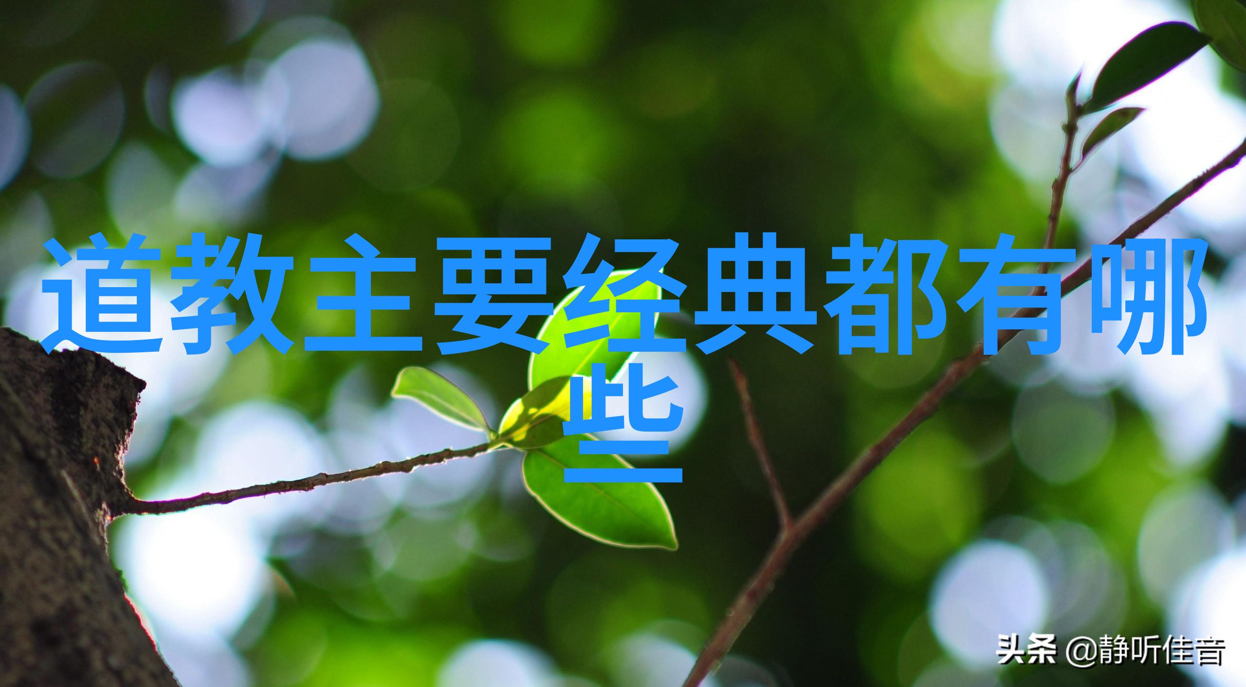冷门又惊艳的古风句子 - 沉默中的诗章探索冷门古风文艺的奇迹